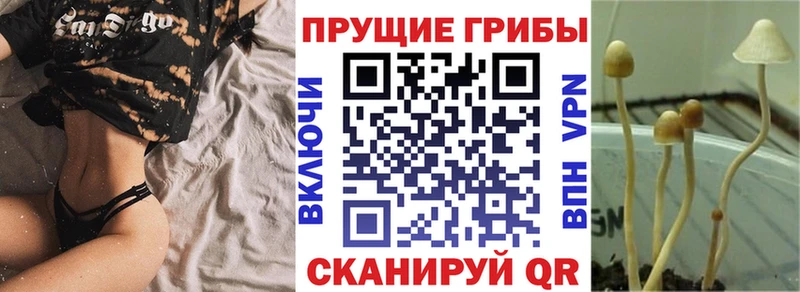 Галлюциногенные грибы Cubensis  Далматово 